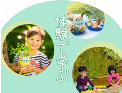 [오키나와] 오키나와 동남식물낙원 입장권