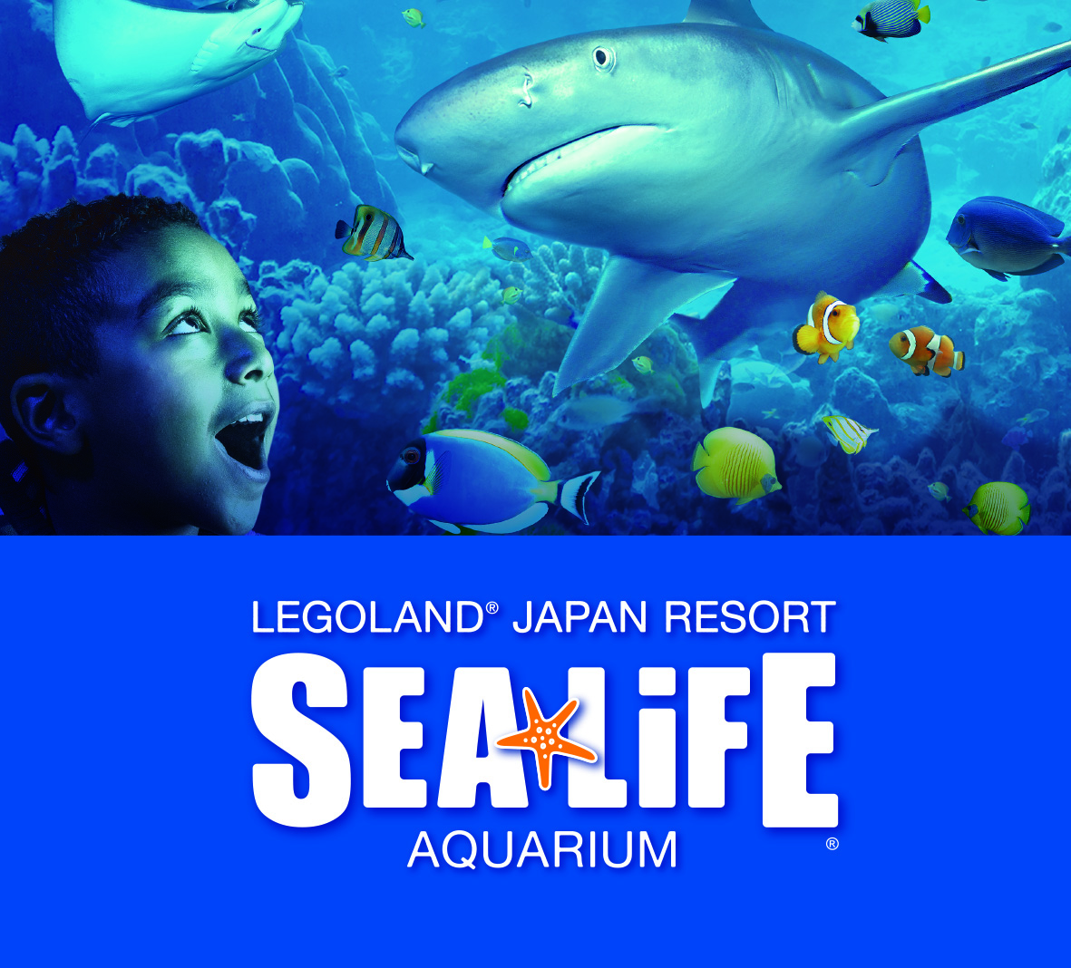 [나고야]  레고랜드 & SEA LIFE  아쿠아리움  당일 입장권