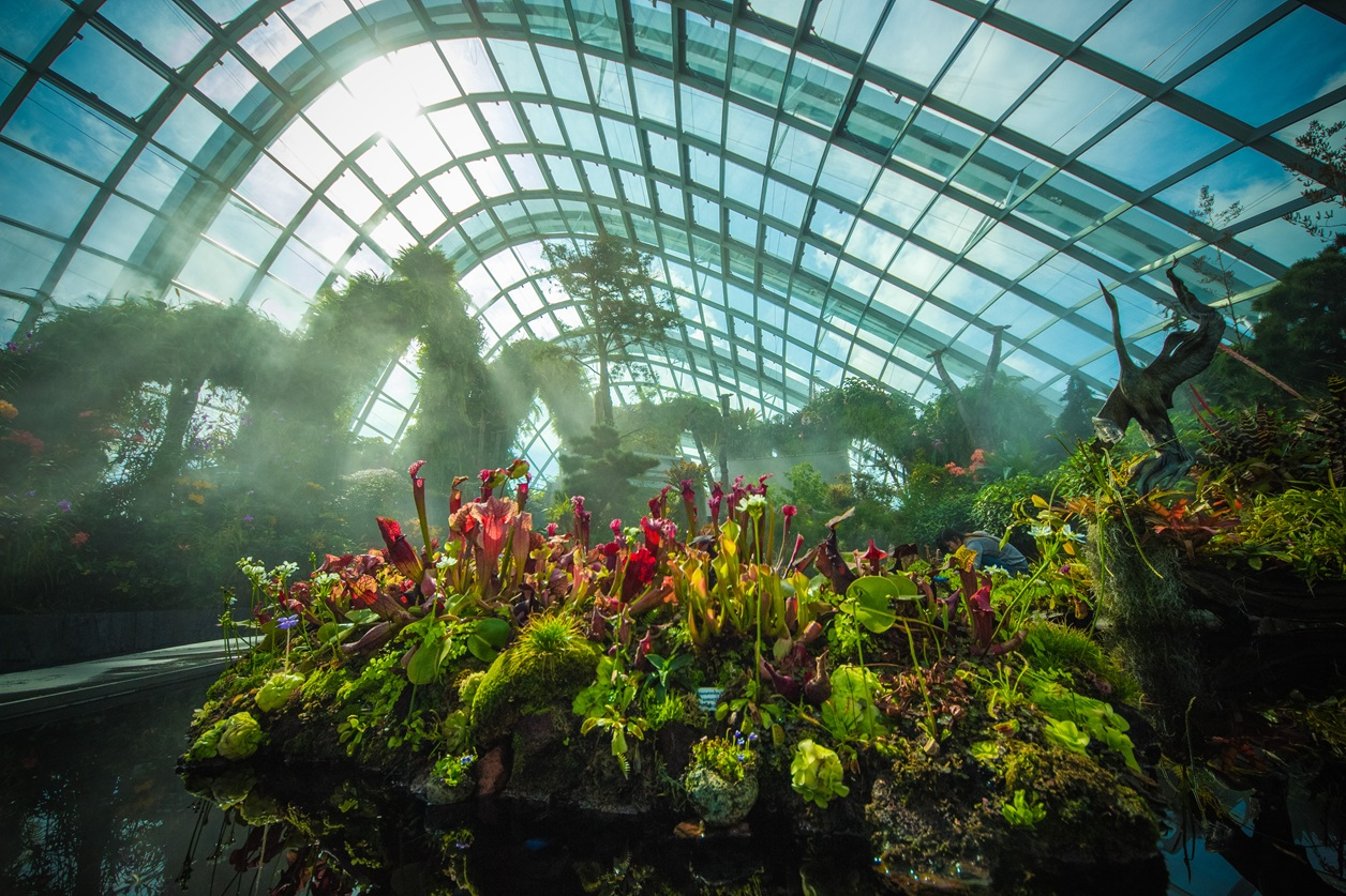 가든스 바이 더 베이 : 플라워 돔/클라우드 포레스트/플로럴 판타지