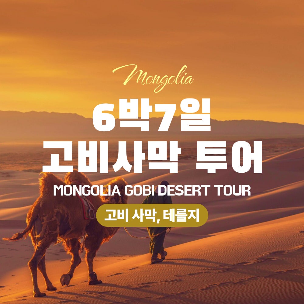 6박7일 고비사막 투어